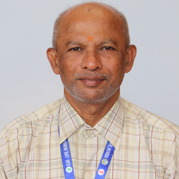Mr. Devendra V. Raorane